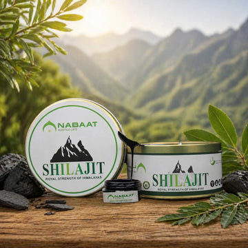 Nabaat Shilajit