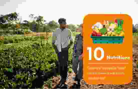 Nabaat Care